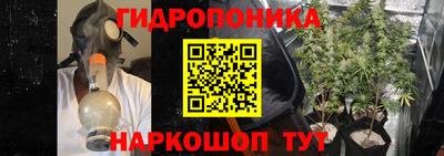 Альфа ПВП Владимир