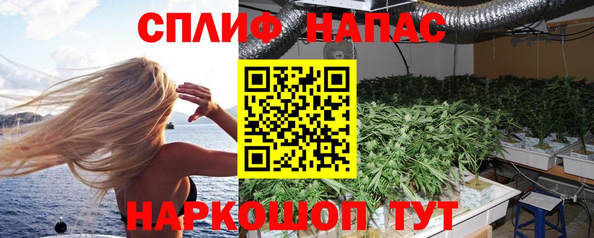 Аша  Канабис Bruce Banner  Вход с VPN  Марихуана VHQ 